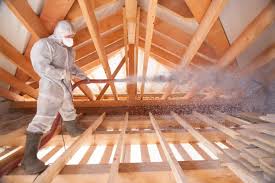 Eco-Friendly or Green Insulation Solutions in Volga, SD